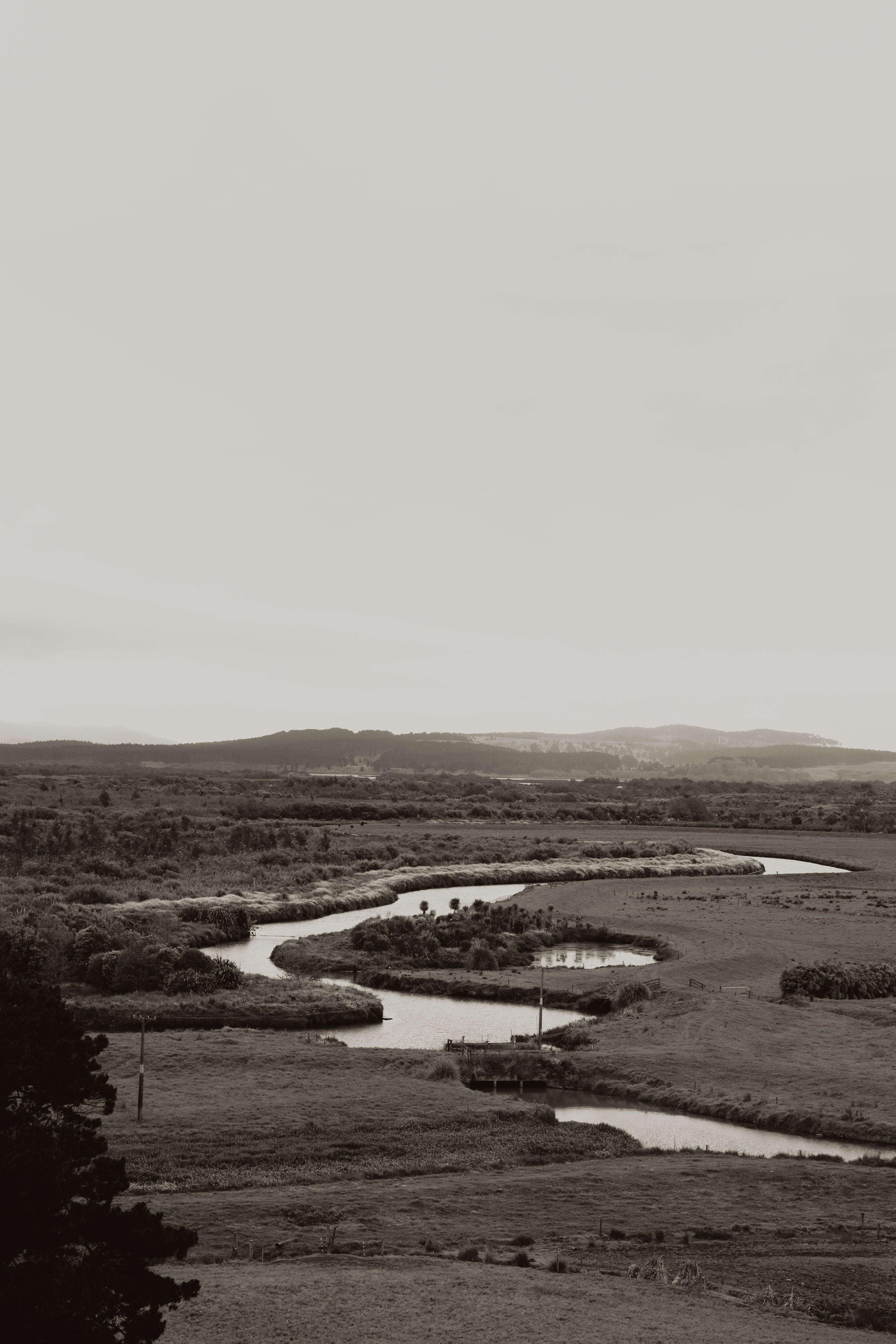 Embracing Sustainability in the Kitchen