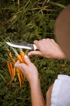 No. 6 - The Traveller